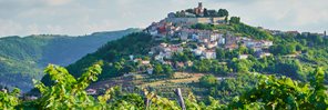 Istra vinogradi Hero